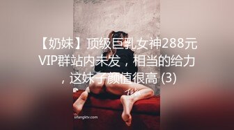 【奶妹】顶级巨乳女神288元VIP群站内未发，相当的给力，这妹子颜值很高 (3)