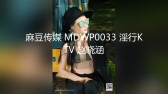 麻豆传媒 MDWP0033 淫行KTV 赵晓涵