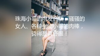 珠海小哥的炮友合集，骚骚的女人、各种坐骑小哥的肉棒，骑得是真舒服！