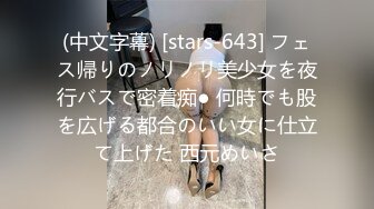 (中文字幕) [stars-643] フェス帰りのノリノリ美少女を夜行バスで密着痴● 何時でも股を広げる都合のいい女に仕立て上げた 西元めいさ