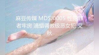 麻豆传媒 MDSJ0005 性犯罪者牢房 滴蜡调教极恶女犯 艾秋