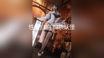 性爱自拍 口袋妖怪