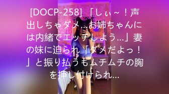 [DOCP-258] 「しぃ～！声出しちゃダメ…お姉ちゃんには内緒でエッチしよう…」妻の妹に迫られ「ダメだよっ！」と振り払うもムチムチの胸を押し付けられ…