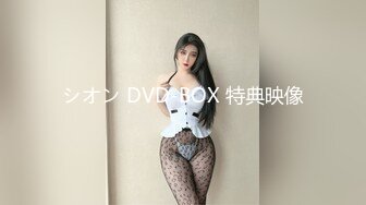 シオン DVD-BOX 特典映像