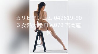 カリビアンコム 042619-903 女熱大陸 File.072 吉岡蓮美