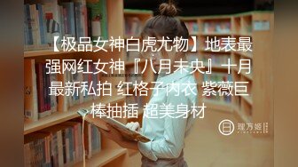 【极品女神白虎尤物】地表最强网红女神『八月未央』十月最新私拍 红格子内衣 紫薇巨棒抽插 超美身材