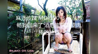 麻豆传媒 MD-190-3 我是苏畅我回来了 酒后蜜屄渴望肉棒的抽插