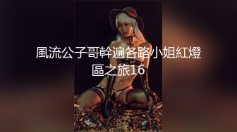 風流公子哥幹遍各路小姐紅燈區之旅16