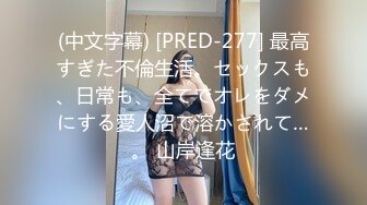 (中文字幕) [PRED-277] 最高すぎた不倫生活。セックスも、日常も、全てでオレをダメにする愛人沼で溶かされて…。 山岸逢花