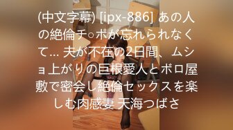 (中文字幕) [ipx-886] あの人の絶倫チ○ポが忘れられなくて… 夫が不在の2日間、ムショ上がりの巨根愛人とボロ屋敷で密会し絶倫セックスを楽しむ肉感妻 天海つばさ