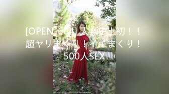 [OPEN-604] 人類史上初！！超ヤリまくり！イキまくり！500人SEX