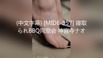 (中文字幕) [MIDE-957] 寝取られBBQ同窓会 神宮寺ナオ