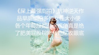 《屎上最强厕拍》坑神逆天作品旱厕偸拍多位女性大小便 各个年龄段都有这视角真是绝了肥美屁股粉嫩私处尽收眼底 (1)