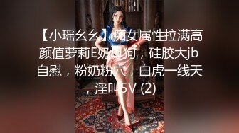 【小瑶幺幺】痴女属性拉满高颜值萝莉E奶母狗，硅胶大jb自慰，粉奶粉穴，白虎一线天，淫叫5V (2)