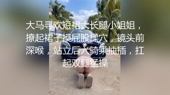 大马寻欢短裙大长腿小姐姐，撩起裙子摸屁股揉穴，镜头前深喉，站立后入骑乘抽插，扛起双腿猛操