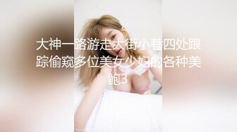 大神一路游走大街小巷四处跟踪偷窥多位美女少妇的各种美鲍3