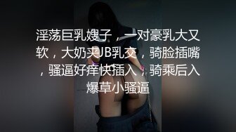 淫荡巨乳嫂子，一对豪乳大又软，大奶夹JB乳交，骑脸插嘴，骚逼好痒快插入，骑乘后入爆草小骚逼